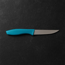 Professional Stainless Steel Paring Knife