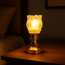 Decorative Night Lamp